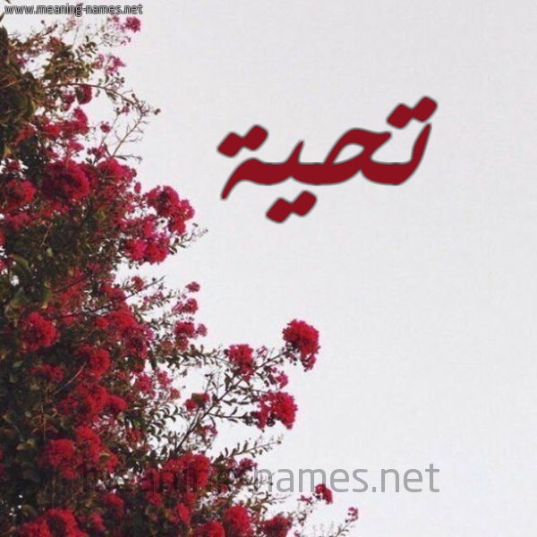 شكل 18 صوره الورد الأحمر للإسم بخط رقعة صورة اسم تحية Tahya