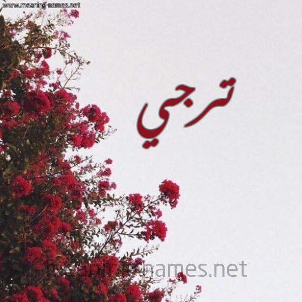 شكل 18 صوره الورد الأحمر للإسم بخط رقعة صورة اسم ترجي Trjy