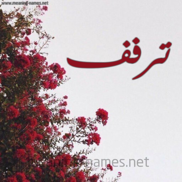 شكل 18 صوره الورد الأحمر للإسم بخط رقعة صورة اسم ترفف Taraf