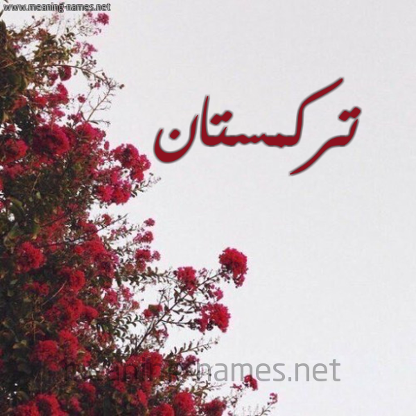 شكل 18 صوره الورد الأحمر للإسم بخط رقعة صورة اسم تركمستان TRKMSTAN