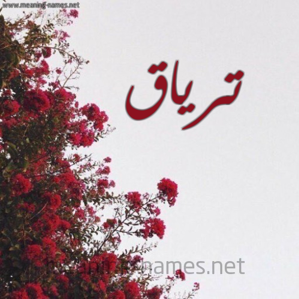 شكل 18 صوره الورد الأحمر للإسم بخط رقعة صورة اسم ترياق Tryaq
