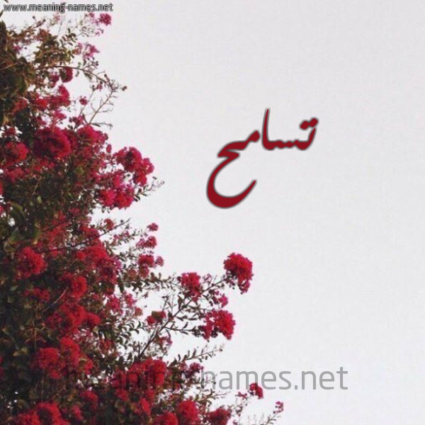 شكل 18 صوره الورد الأحمر للإسم بخط رقعة صورة اسم تسامح TSAMH