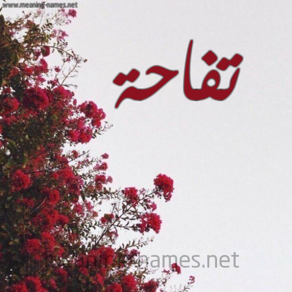 شكل 18 صوره الورد الأحمر للإسم بخط رقعة صورة اسم تفاحة Tfahh