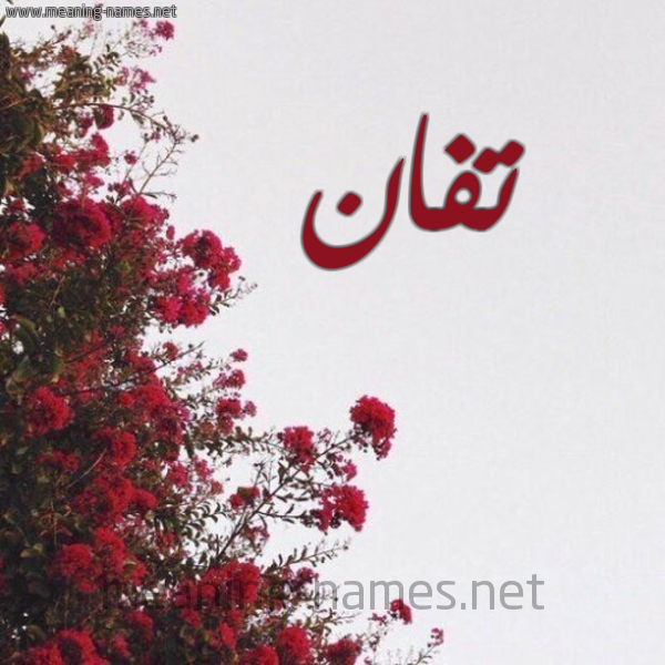 شكل 18 صوره الورد الأحمر للإسم بخط رقعة صورة اسم تفان Tfan