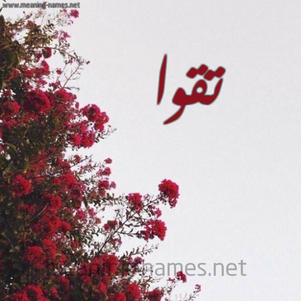 شكل 18 صوره الورد الأحمر للإسم بخط رقعة صورة اسم تقوا Tqwa