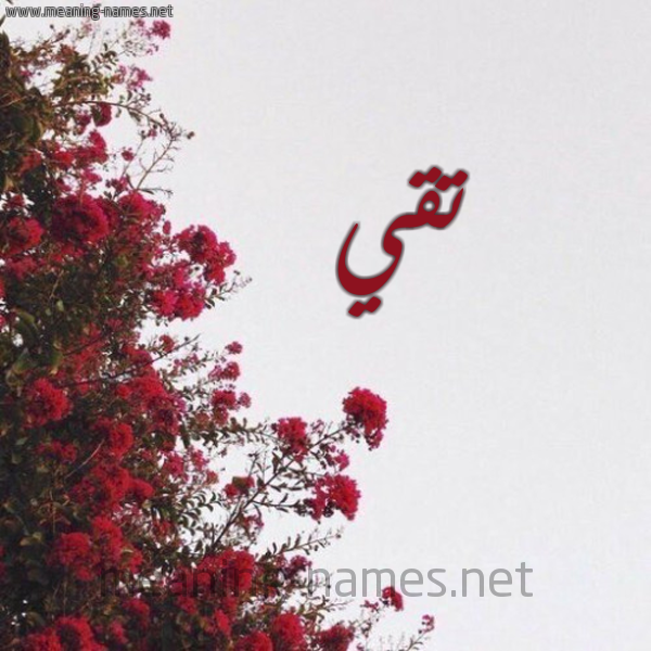 شكل 18 صوره الورد الأحمر للإسم بخط رقعة صورة اسم تقي Tqy