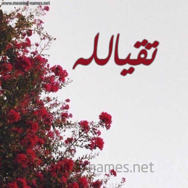 شكل 18 صوره الورد الأحمر للإسم بخط رقعة صورة اسم تقيالله Tqyallh