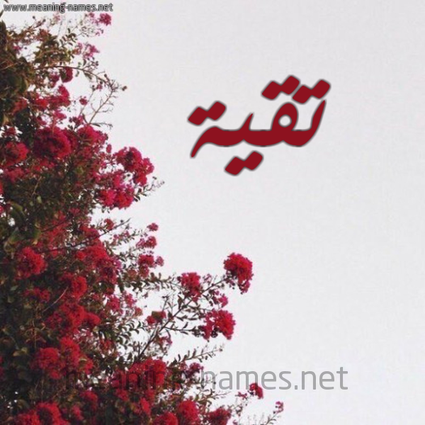 شكل 18 صوره الورد الأحمر للإسم بخط رقعة صورة اسم تقية Tqyh