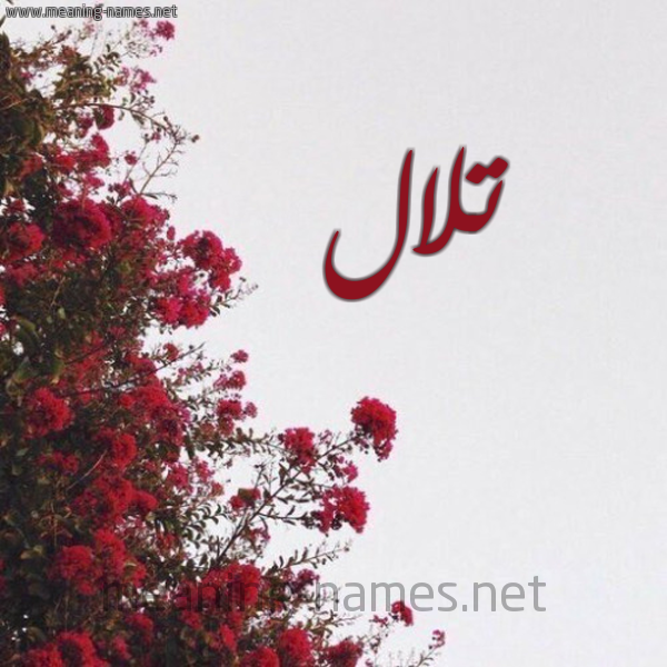 شكل 18 صوره الورد الأحمر للإسم بخط رقعة صورة اسم تلال Tlal