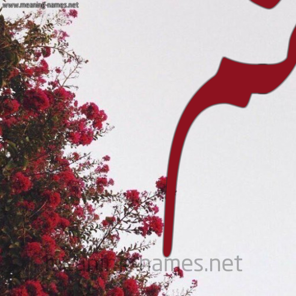 شكل 18 صوره الورد الأحمر للإسم بخط رقعة صورة اسم تم TM