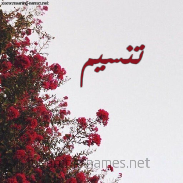 شكل 18 صوره الورد الأحمر للإسم بخط رقعة صورة اسم تنسيم Tasnim
