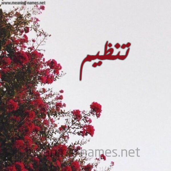 شكل 18 صوره الورد الأحمر للإسم بخط رقعة صورة اسم تنظيم Tnzym