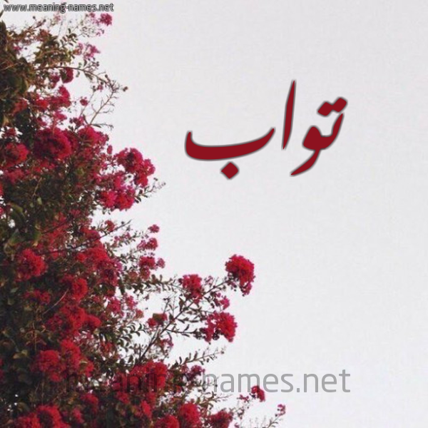 شكل 18 صوره الورد الأحمر للإسم بخط رقعة صورة اسم تواب Twab