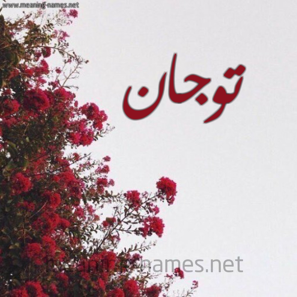 شكل 18 صوره الورد الأحمر للإسم بخط رقعة صورة اسم توجان Togan
