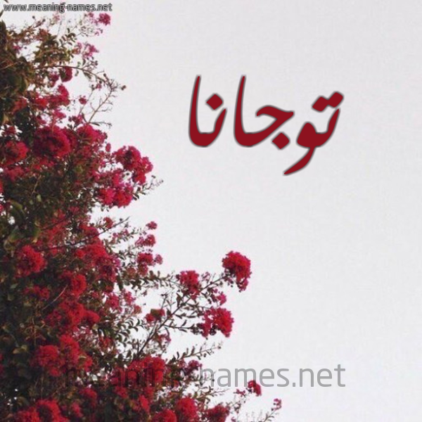 شكل 18 صوره الورد الأحمر للإسم بخط رقعة صورة اسم توجانا togana