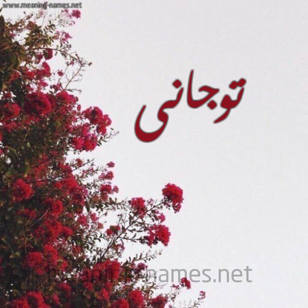 شكل 18 صوره الورد الأحمر للإسم بخط رقعة صورة اسم توجانى togani