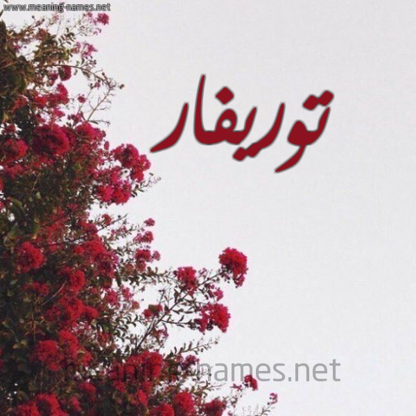 شكل 18 صوره الورد الأحمر للإسم بخط رقعة صورة اسم توريفار TORIFAR