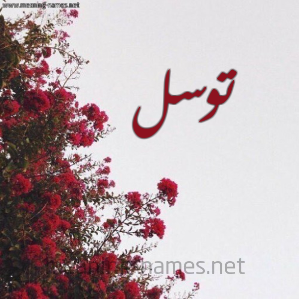 شكل 18 صوره الورد الأحمر للإسم بخط رقعة صورة اسم توسل TOSL