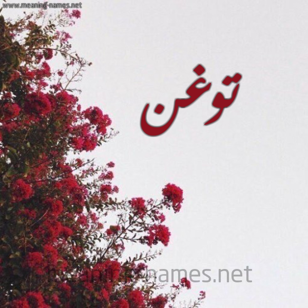 شكل 18 صوره الورد الأحمر للإسم بخط رقعة صورة اسم توغن Twghn