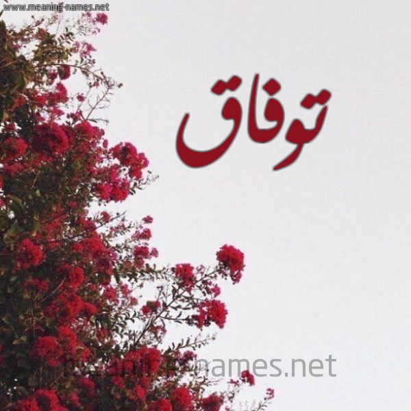 شكل 18 صوره الورد الأحمر للإسم بخط رقعة صورة اسم توفاق Twfaq