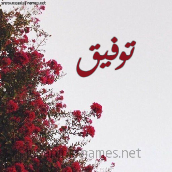 شكل 18 صوره الورد الأحمر للإسم بخط رقعة صورة اسم توفيق Twfik