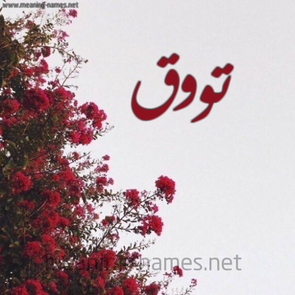 شكل 18 صوره الورد الأحمر للإسم بخط رقعة صورة اسم تووق Touq