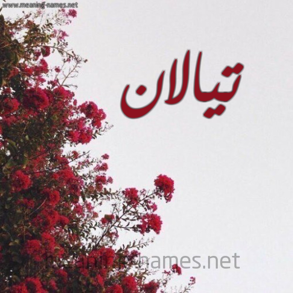 شكل 18 صوره الورد الأحمر للإسم بخط رقعة صورة اسم تيالان Talan