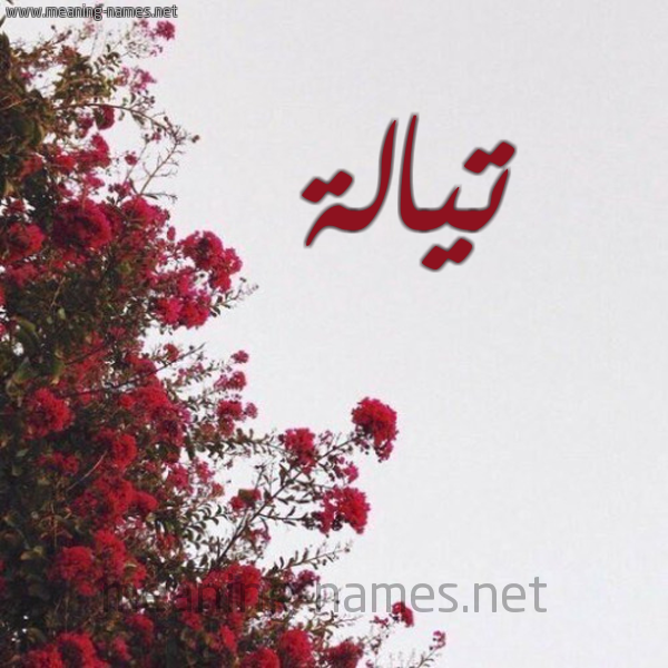 شكل 18 صوره الورد الأحمر للإسم بخط رقعة صورة اسم تيالة Talah