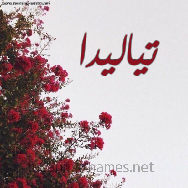 شكل 18 صوره الورد الأحمر للإسم بخط رقعة صورة اسم تياليدا Taleedah