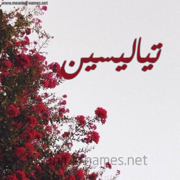 شكل 18 صوره الورد الأحمر للإسم بخط رقعة صورة اسم تياليسين Taliesin