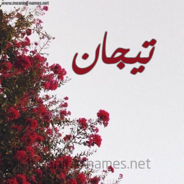 شكل 18 صوره الورد الأحمر للإسم بخط رقعة صورة اسم تيجان Tyjan