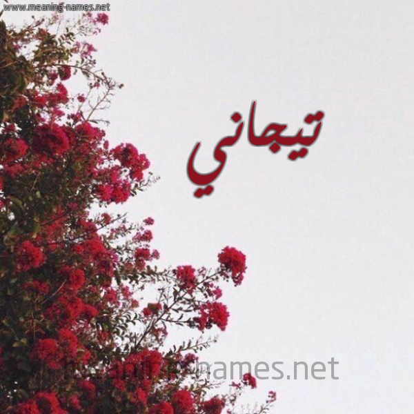 شكل 18 صوره الورد الأحمر للإسم بخط رقعة صورة اسم تيجاني TIGANI