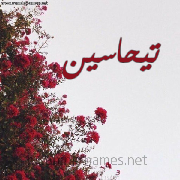 شكل 18 صوره الورد الأحمر للإسم بخط رقعة صورة اسم تيحاسين Tahasin