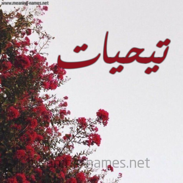 شكل 18 صوره الورد الأحمر للإسم بخط رقعة صورة اسم تيحيات Taheyyat