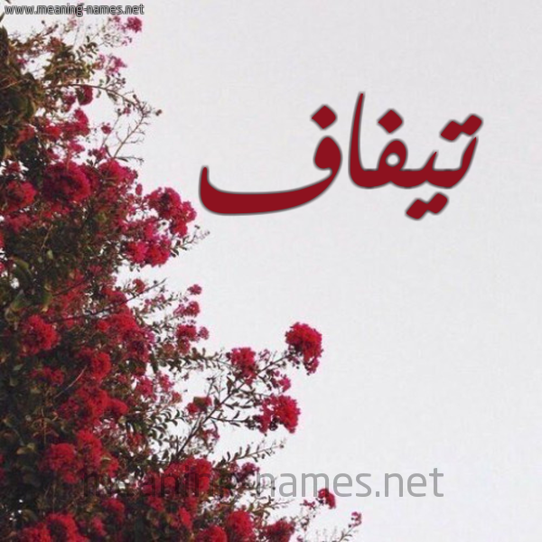 شكل 18 صوره الورد الأحمر للإسم بخط رقعة صورة اسم تيفاف Tyfaf