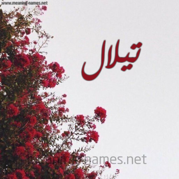 شكل 18 صوره الورد الأحمر للإسم بخط رقعة صورة اسم تيلال Tilal