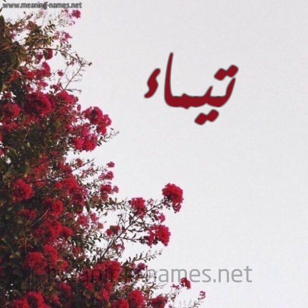 شكل 18 صوره الورد الأحمر للإسم بخط رقعة صورة اسم تيماء Taymaa