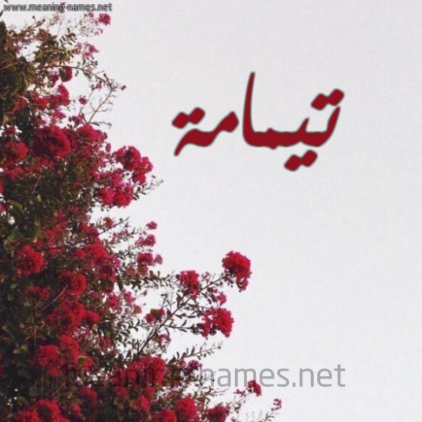 شكل 18 صوره الورد الأحمر للإسم بخط رقعة صورة اسم تيمامة Tamamah