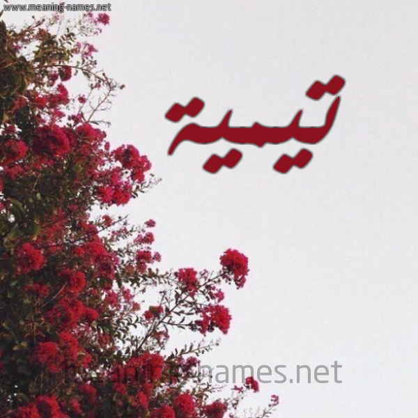 شكل 18 صوره الورد الأحمر للإسم بخط رقعة صورة اسم تيمية Taymah
