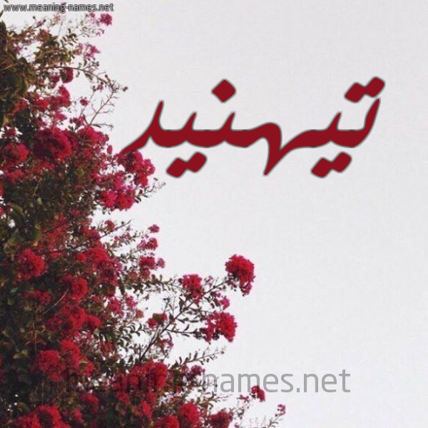 شكل 18 صوره الورد الأحمر للإسم بخط رقعة صورة اسم تيهنيد Tahned