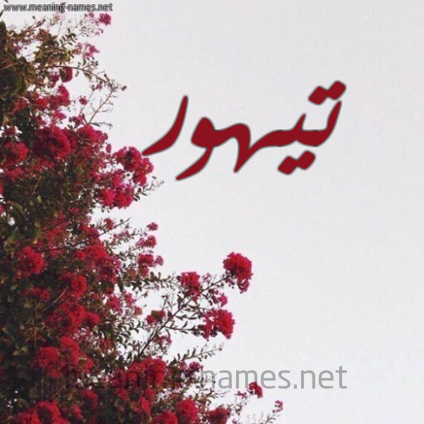 شكل 18 صوره الورد الأحمر للإسم بخط رقعة صورة اسم تيهور Tyhwr