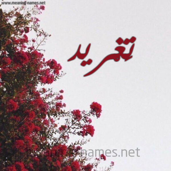 شكل 18 صوره الورد الأحمر للإسم بخط رقعة صورة اسم تَغْريد Taghrid