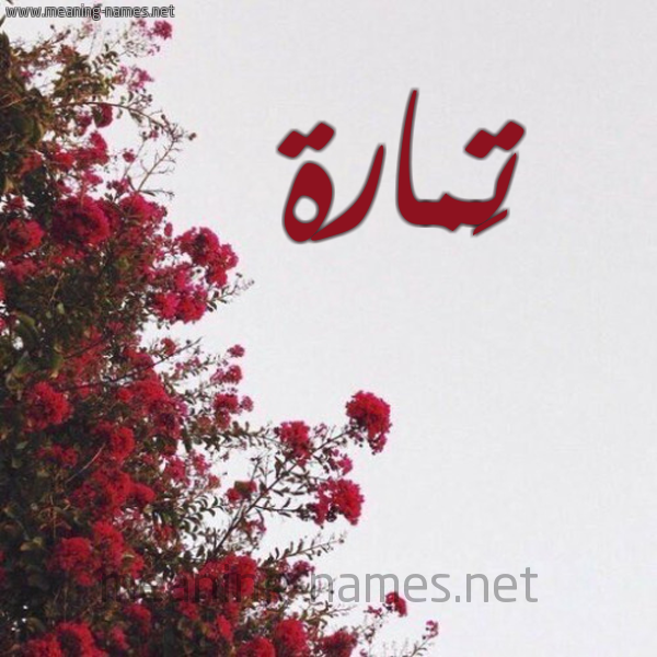 شكل 18 صوره الورد الأحمر للإسم بخط رقعة صورة اسم تَمارة TAMARH