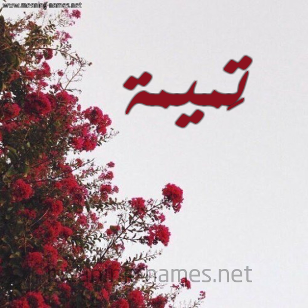 شكل 18 صوره الورد الأحمر للإسم بخط رقعة صورة اسم تَميمة TAMIMH