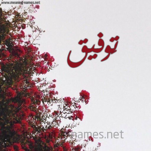 شكل 18 صوره الورد الأحمر للإسم بخط رقعة صورة اسم تَوفيق TAOFIQ