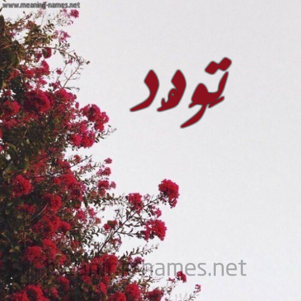 شكل 18 صوره الورد الأحمر للإسم بخط رقعة صورة اسم تَوَدُّد TAOADOD شكل 18 صوره الورد الأحمر للإسم بخط رقعة صورة اسم تَوَدُّد TAOADOD