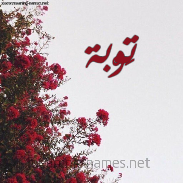 شكل 18 صوره الورد الأحمر للإسم بخط رقعة صورة اسم تَوْبة TAOBH