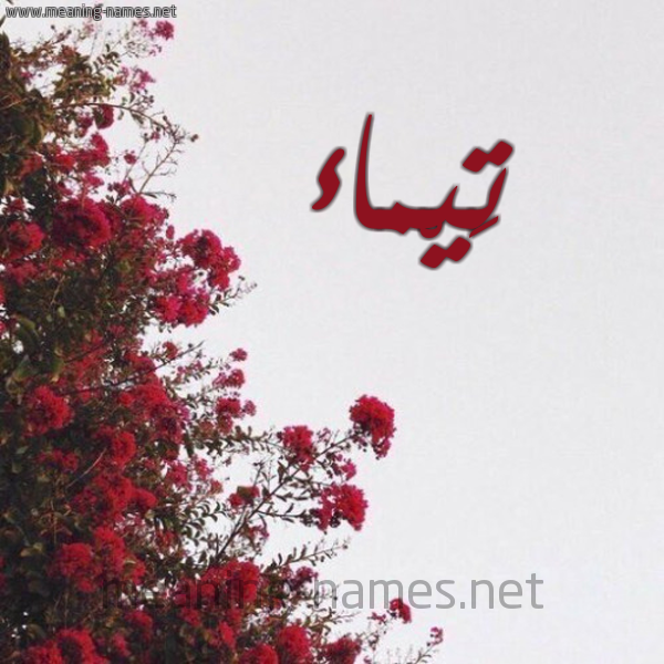 شكل 18 صوره الورد الأحمر للإسم بخط رقعة صورة اسم تَيْماء TAIMAA