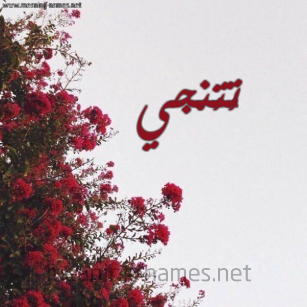 شكل 18 صوره الورد الأحمر للإسم بخط رقعة صورة اسم تُتُنْجي TOTONGI