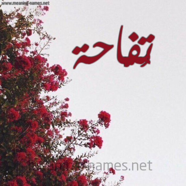شكل 18 صوره الورد الأحمر للإسم بخط رقعة صورة اسم تُفَّاحة TOFAAHH